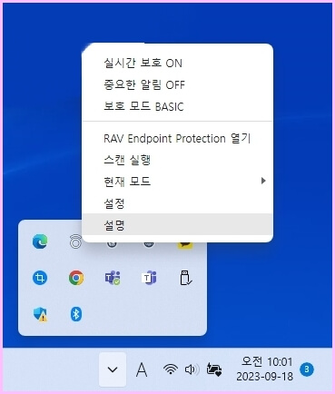 RAV Endpoint Protection  실행